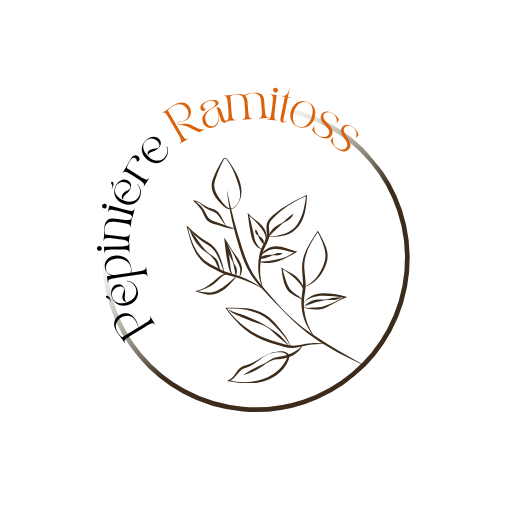 ramitoss